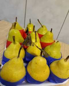 feira-limpa-na-sua-porta-5