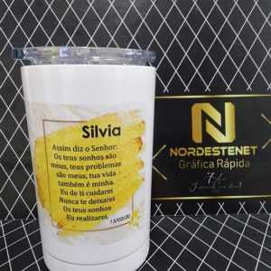 grafica-nordestenet-2