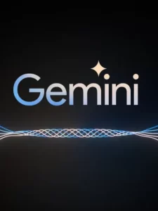 Gemini Racismo