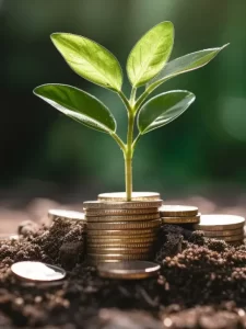 planejamento financeiro