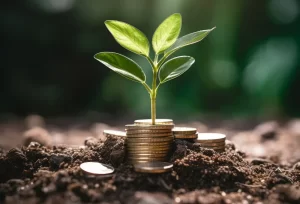 planejamento financeiro