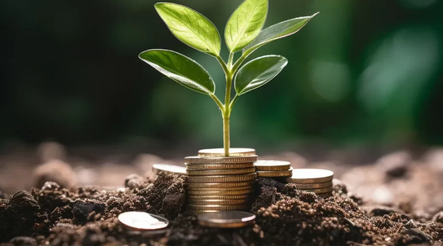 Planejamento Financeiro: Passos essenciais para garantir a sobrevivência do seu negócio
